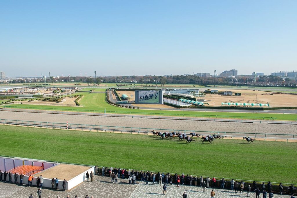 中山競馬場