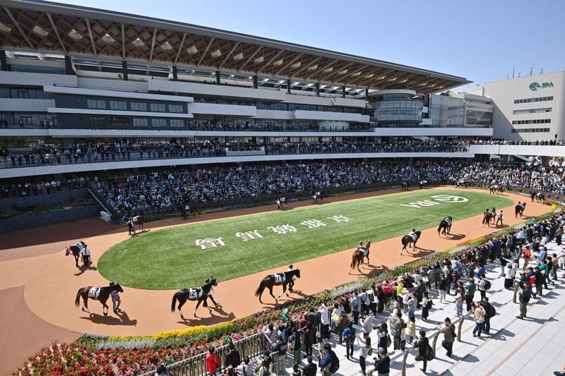京都競馬場