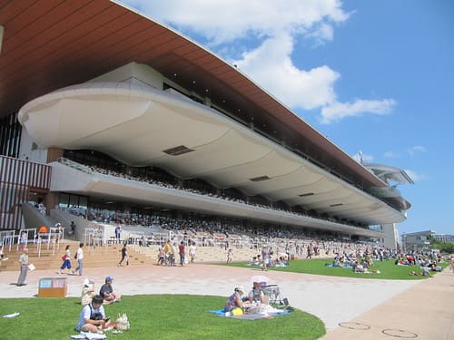 函館競馬場