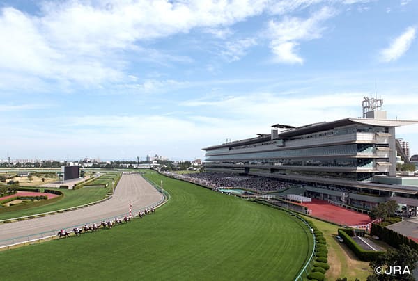阪神競馬場