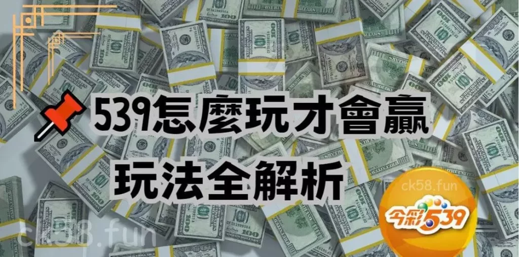 539玩法全解析
